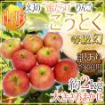 蜜だらけりんご ”山形産 こうとく（高徳）りんご” 等級幻 訳あり 約2kg 大きさおまかせ【予約 11月以降】 送料無料