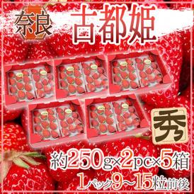 奈良県産 ”古都姫いちご” 2pc×《5箱》（1pcあたり9～15粒前後 約250g）【予約 1月以降】 送料無料