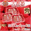 奈良県産 ”古都姫いちご” 2pc×《3箱》（1pcあたり9～15粒前後 約250g）【予約 1月以降】 送料無料