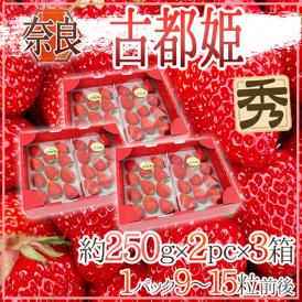 奈良県産 ”古都姫いちご” 2pc×《3箱》（1pcあたり9～15粒前後 約250g）【予約 12月以降】 送料無料