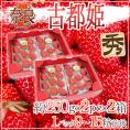 奈良県産 ”古都姫いちご” 2pc×《2箱》（1pcあたり9～15粒前後 約250g）【予約 1月以降】 送料無料