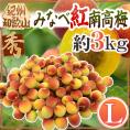 ”紀州・和歌山産 みなべ紅南高梅” 秀品 L 約3kg【予約 5月末以降】 送料無料