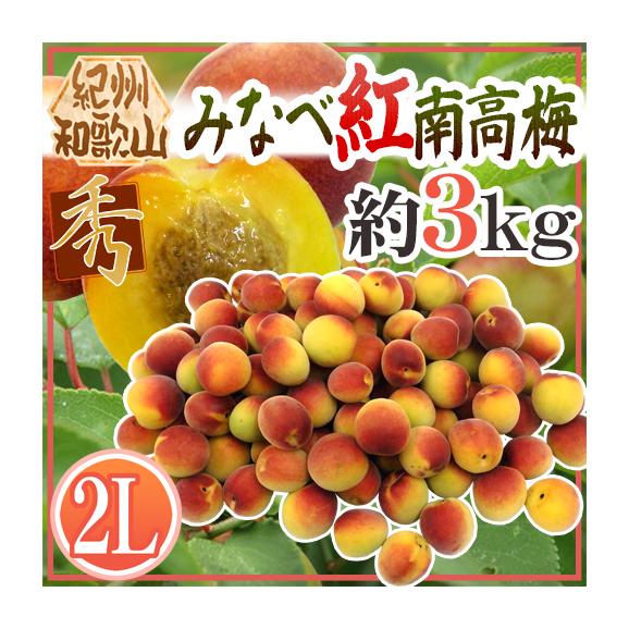 和歌山県紀南産　完熟紅南高2㎏ 秀品2L 和歌山県紀南産完熟紅南高2㎏ 2L-L