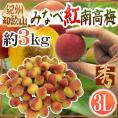 ”紀州・和歌山産 みなべ紅南高梅” 秀品 3L 約3kg【予約 5月末以降】 送料無料