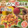 ”紀州・和歌山産 みなべ紅南高梅” 秀品 3L 約2kg【予約 5月末以降】 送料無料