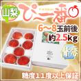 ”山梨県産 特選桃 ぴ～一番” 6～8玉前後 約2.5kg 青秀品 糖度11度以上保証【予約 7月下旬以降】 送料無料