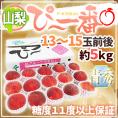 山梨県産 特選桃 ”ぴ～一番” 13～15玉前後 約5kg 青秀品 糖度11度以上保証【予約 7月下旬以降】 送料無料