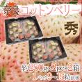 奈良県産 ”白いちご コットンベリー” 2pc×《2箱》（1pcあたり9～15粒前後 約250g）【予約 1月下旬以降】 送料無料