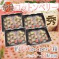 奈良県産 ”白いちご コットンベリー” 2pc×《4箱》(1pcあたり9~15粒前後 約250g)【予約 1月下旬以降】 送料無料