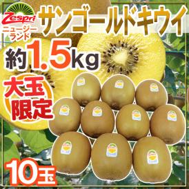 ゼスプリ ”サンゴールドキウイ” 大玉 10玉 約1.5kg【予約 4月下旬以降】 送料無料