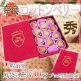 奈良県産 ”白いちご コットンベリー” 11粒前後 風袋込約700g ブック型化粧箱【予約 1月下旬以降】 送料無料