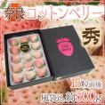 奈良県産 ”白いちご コットンベリー” 15粒前後 風袋込約500g 化粧箱【予約 1月下旬以降】 送料無料
