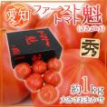愛知県産 ”ファーストトマト 魁” 約1kg 大きさおまかせ 化粧箱 糖度8度以上【予約 3月末以降】 送料無料