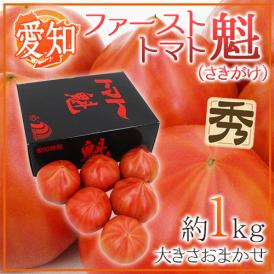 愛知県産 ”ファーストトマト 魁” 約1kg 大きさおまかせ 化粧箱 糖度8度以上【予約 入荷次第発送】 送料無料