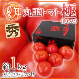愛知県産 ”丸玉トマト 極” 約1kg 大きさおまかせ 化粧箱 糖度8度以上【予約 入荷次第発送】 送料無料
