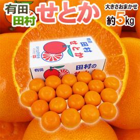 和歌山県 田村産 ”せとか” 秀品 約5kg 大きさおまかせ 産地箱【予約 2月末以降】 送料無料