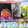 父の日ギフト ”佐藤錦＋種なし巨峰or種なしピオーネ” ＋バラ造花1本【予約 6月14～21日お届け予定】 送料無料