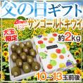 遅れてごめんね！父の日ギフト ”ゼスプリ サンゴールドキウイ” 大玉 10～13玉前後 約2kg バラ造花付 ニュージーランド産【予約 6月16日以降】 送料無料