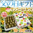 遅れてごめんね！父の日ギフト ”ゼスプリ サンゴールドキウイ” 18～20玉前後 約2kg バラ造花付 ニュージーランド産【予約 6月16日以降】 送料無料