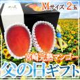 父の日ギフト ”宮崎完熟マンゴー” 秀品 Mサイズ 2玉+バラ造花1本【予約 6月14～21日お届け予定】 送料無料