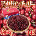 アメリカ産 ”アメリカンチェリー” 小粒 約8kg【予約 5月下旬以降】 送料無料