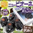 岡山産 ”種なしニューピオーネ” 3～5房 約2kg ちょっと訳あり 化粧箱 ぶどう【予約 7月中旬以降】 送料無料