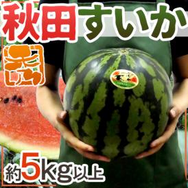 ”秋田県 秋田すいか” 秀品 約5kg以上【予約 7月下旬〜8月以降】 送料無料