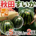 秋田県 ”秋田すいか” 秀品 約5kg以上×2玉【予約 7月下旬～8月以降】 送料無料