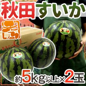 秋田県 ”秋田すいか” 秀品 約5kg以上×2玉【予約 7月下旬～8月以降】 送料無料