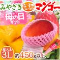 母の日ギフト ”宮崎マンゴー” 超大玉3L 1玉 カーネーション造花付き【予約 5月2日～5月10日お届け予定】