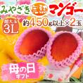 母の日ギフト ”宮崎マンゴー” 超大玉3L 2玉 カーネーション造花付き【予約 5月2日～5月10日お届け予定】