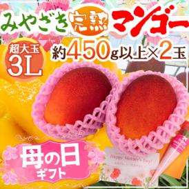 母の日ギフト ”宮崎マンゴー” 超大玉3L 2玉 カーネーション造花付き【予約 5月2日～5月10日お届け予定】