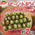 ゼスプリ ”ルビーレッドキウイ” 20～30玉前後 約2kg【予約 3月下旬以降】 送料無料
