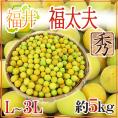 ”福井産 福太夫(ふくだゆう)” 秀品 L~3L 約5kg 梅【予約 5月末以降】 送料無料