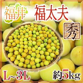 ”福井産 福太夫（ふくだゆう）” 秀品 L～3L 約5kg 梅【予約 5月末以降】 送料無料