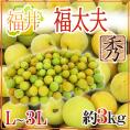 ”福井産 福太夫(ふくだゆう)” 秀品 L~3L 約3kg 梅【予約 5月末以降】 送料無料