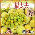 ”福井産 福太夫(ふくだゆう)” 秀品 L~3L 約2kg 梅【予約 5月末以降】 送料無料