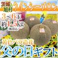 父の日ギフト ”旭村 クインシーメロン” 秀品 3～6玉 風袋込約4～5kg＋黄色バラ造花付き【予約 6月8～15日お届け予定】 送料無料