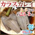 ”カラスカレイ” ドレス 3〜5尾前後 約2.5〜3kg 鰈/カラスガレイ 送料無料