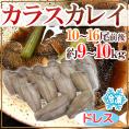 ”カラスカレイ” ドレス 10〜16尾前後 約9〜10kg 鰈/カラスガレイ 送料無料