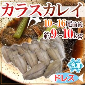 ”カラスカレイ” ドレス 10〜16尾前後 約9〜10kg 鰈/カラスガレイ 送料無料