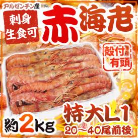 ”アルゼンチン赤海老” 20〜40尾前後 特大L1サイズ 約2kg 生食/お刺身可 有頭殻付き ブロック アカエビ/赤エビ