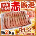 ”アルゼンチン赤海老” 40〜60尾前後 中L2サイズ 約2kg 生食/お刺身可 有頭殻付き ブロック アカエビ/赤エビ