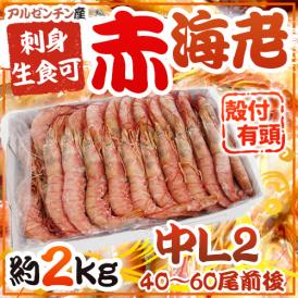 ”アルゼンチン赤海老” 40〜60尾前後 中L2サイズ 約2kg 生食/お刺身可 有頭殻付き ブロック アカエビ/赤エビ