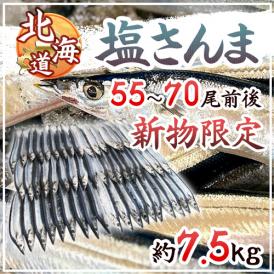 2025年新物！北海道産 ”塩さんま” 55～70尾前後 約7.5kg サンマ 秋刀魚【予約 入荷次第発送】 送料無料
