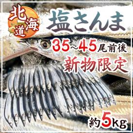 2025年新物！北海道産 ”塩さんま” 35～45尾前後 約5kg サンマ 秋刀魚 【予約 入荷次第発送】 送料無料