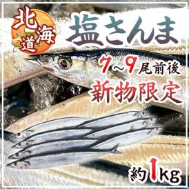 2025年新物！北海道産 ”塩さんま” 7～9尾前後 約1kg サンマ 秋刀魚 【予約 入荷次第発送】 送料無料