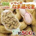 静岡県産 JAとぴあ浜松 ”ジャンボなま落花生（おおまさり）” 約500g【予約 8月中下旬以降】 送料無料