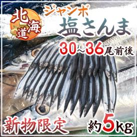 2025年新物！北海道産 ”ジャンボ塩さんま” 30～36尾前後 約5kg サンマ 秋刀魚 【予約 入荷次第発送】送料無料