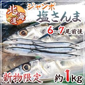 2025年新物！北海道産 ”ジャンボ塩さんま” 6〜7尾前後 約1kg サンマ 秋刀魚 【予約 入荷次第発送】送料無料